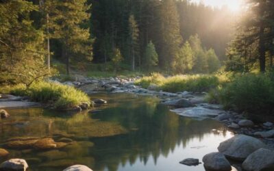 Lhypnose ericksonienne démystifiée une approche douce pour le bien-être mental